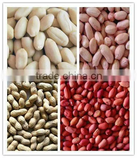Best price washed peanut in shell for sale