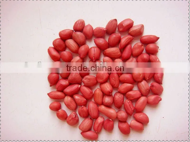 Fresh 2012 Chinese Ground Peanut In Shell