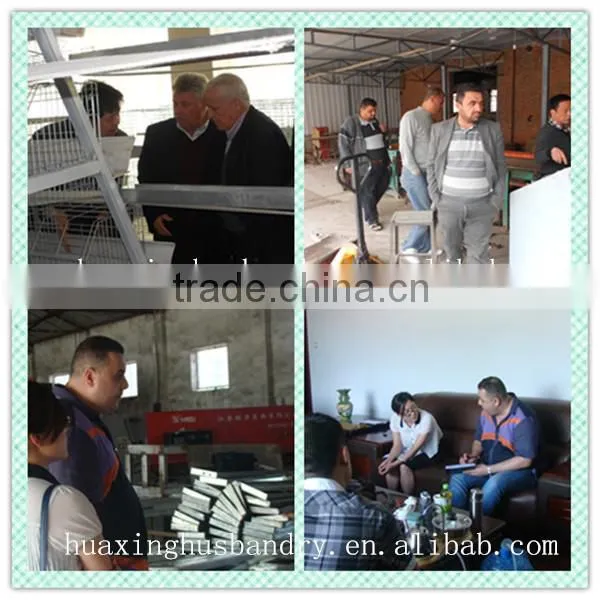 High quality commercial chicken cages/cheap folding cage/rabbit cage