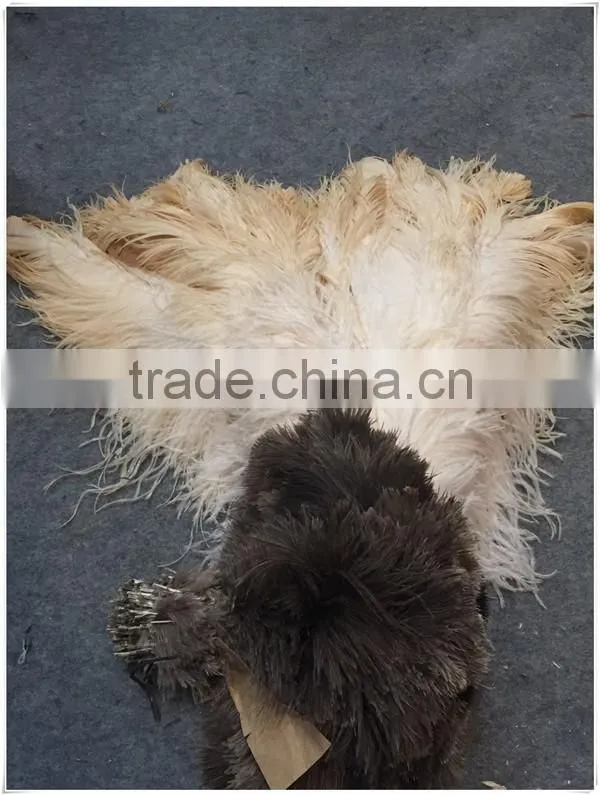 Professional Ostrich Feather Duster
