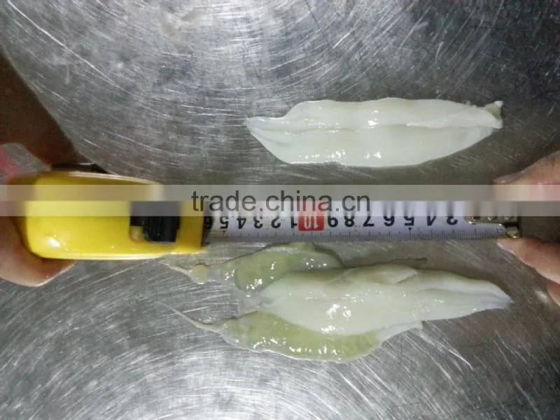 frozen illex roe squid argentina raw material
