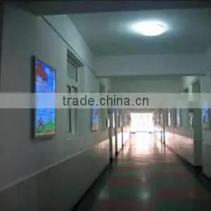 hot selling high level new design delicated appearance led ceiling light