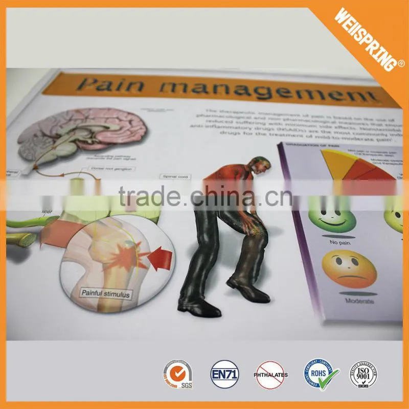 Big sale custom sizeeducational medical chart