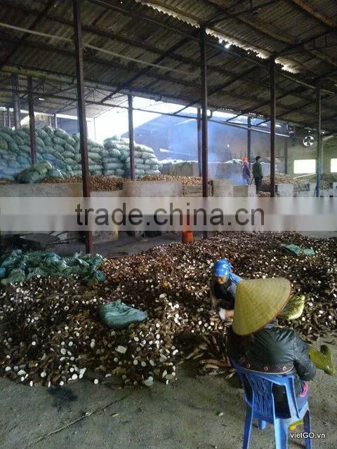 Cheap Price Cassava Chip 04