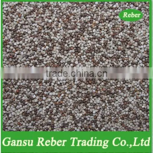 Mixed Perilla Seeds