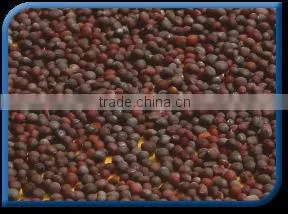 Black Mustard Seeds