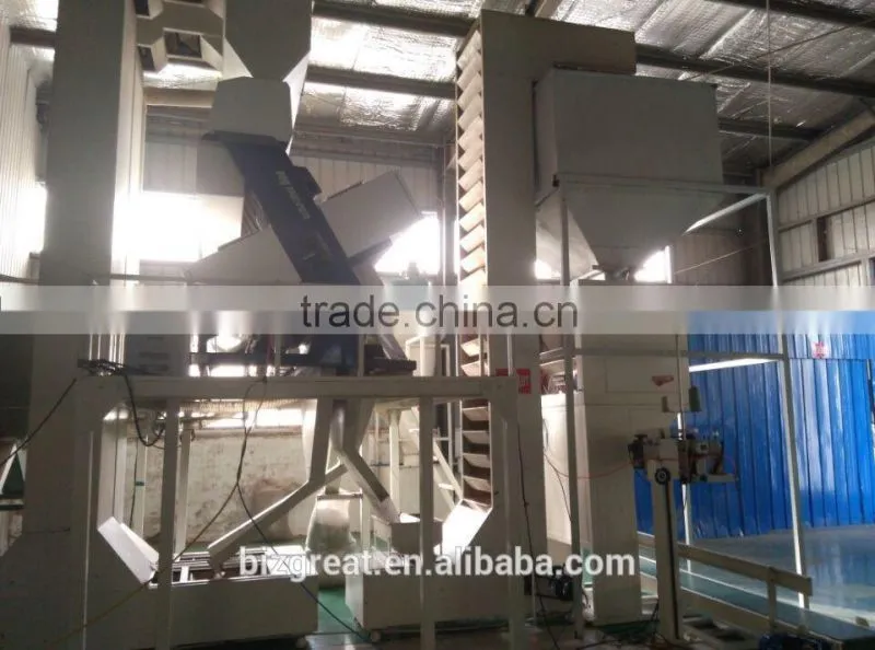 Supply Chinese Roasted Salted White Sunflower Seeds with Good Quality For Sales