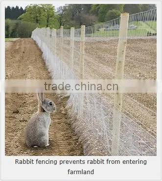 Hexagonal Wire Mesh (factory)