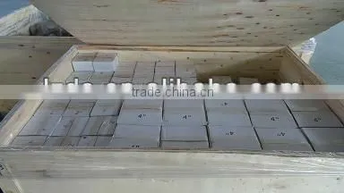 Cast Iron Dual Plate Wafer Check Valve