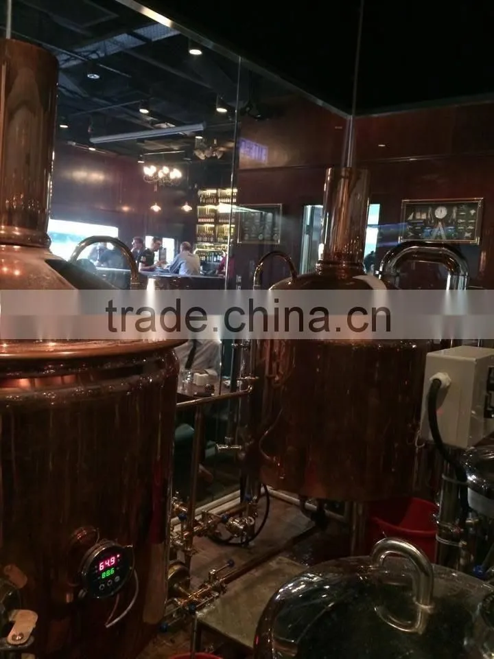 high quality 300L brewing equipment with electric heating with CE certificate
