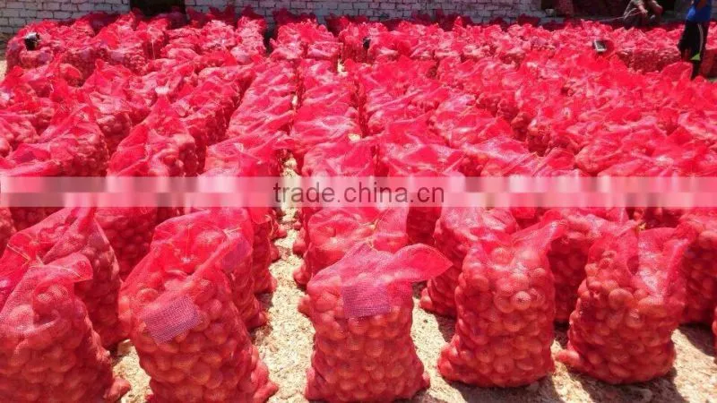 super quality grade a egyptian onions