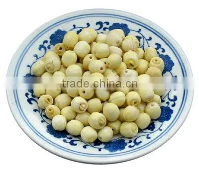 white dried lotus seed