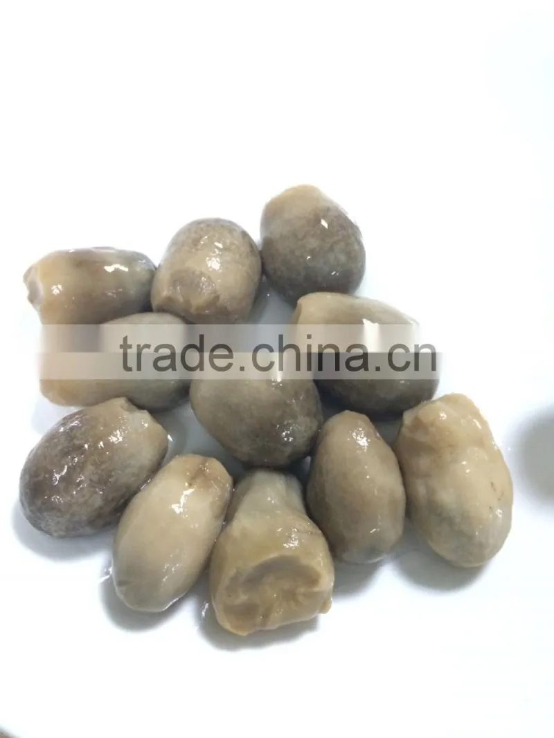 Healthy high quality Canned Straw Mushroom with factory price