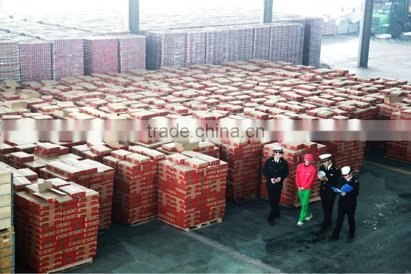 brix different ,bulk tomato aseptic ketchup tomato paste halal food manfacturer
