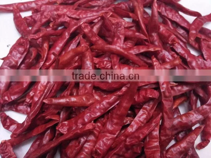 Exporters of Premium Grade Dried Red Chilli for Worldwide Importers