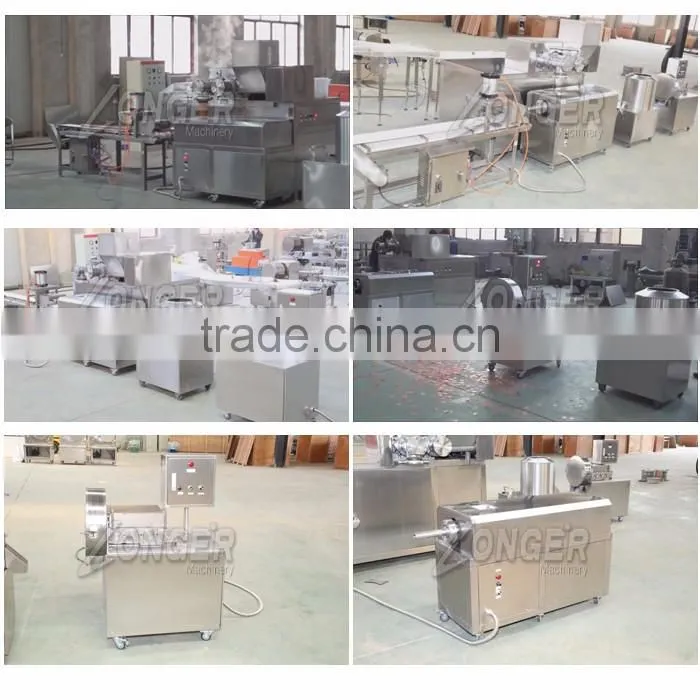 CE Approved Stainless Steel Prawn Cracker Extruder/Making Machine