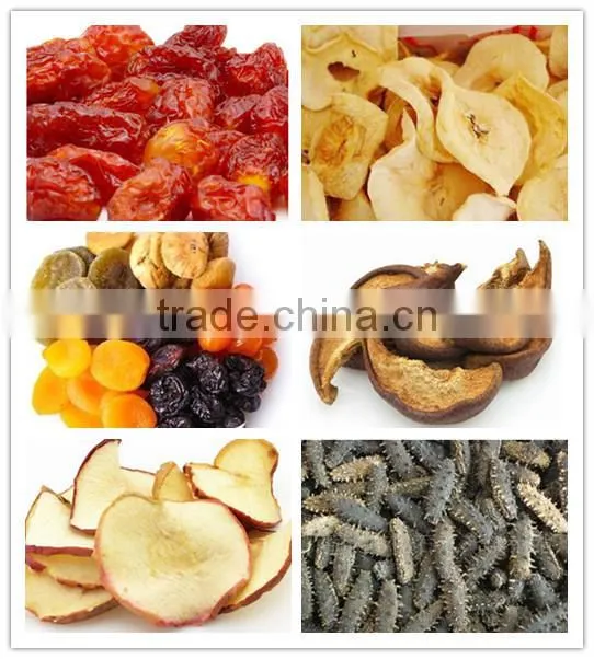 Professional Manufacture Vegetable And Fruit Processing Machine(Equipment /Line)/ dry fruits/ dried food processing machiney