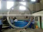 excavator Slewing bearing