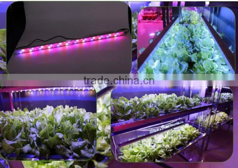 ShenZhen LED Manufacturer supply Full spectrum LED Grow Light MarsHydro LED Lights Grow Bar