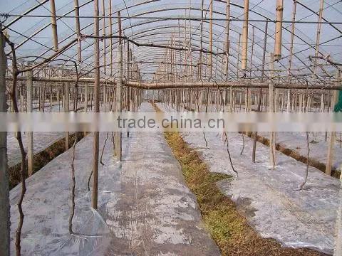 UV protect anti fog Transparent Coextruded PE Cover Film PE mulch film for grape greenhouse