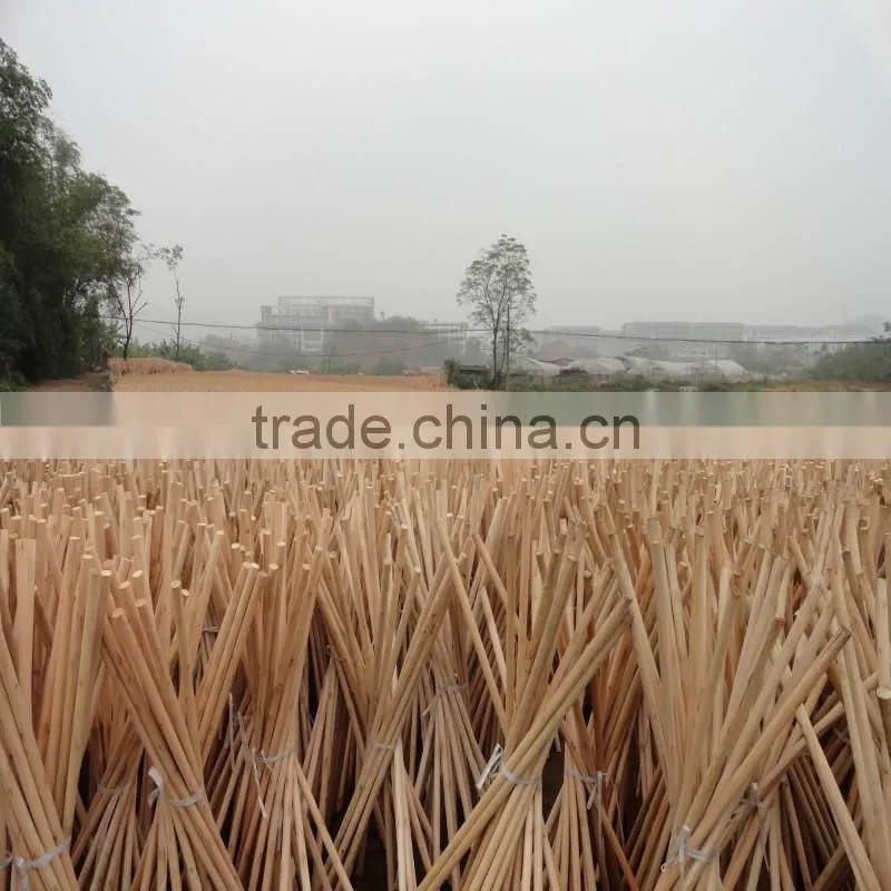 Home Usage and PET Broom Head Material broom handle