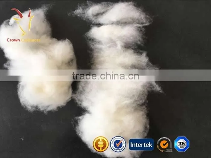 Precious Fibers Cashmere Dehaired Fiber