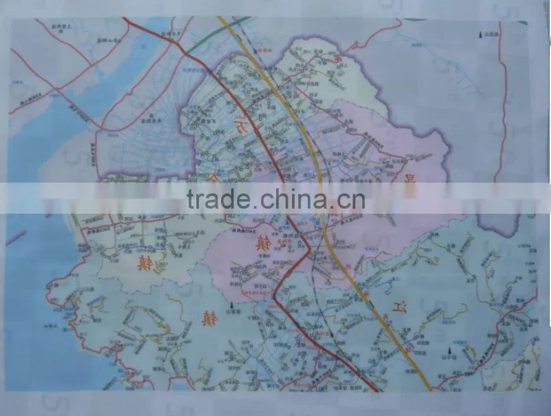fashion printed map