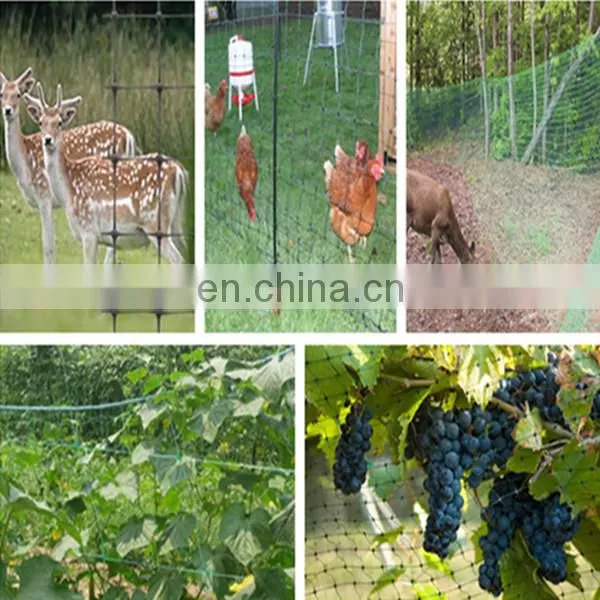 China Supplier of PP chicken net hot sale to Thailand