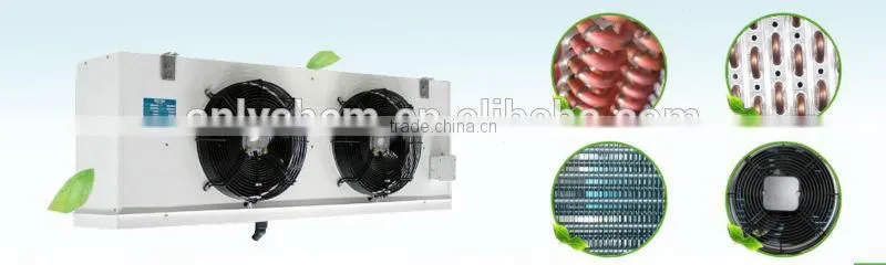 DL Suspended Cold Storage Refrigeration Evaporator