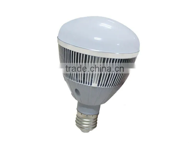 CE,RHOS br30 led goble bulb