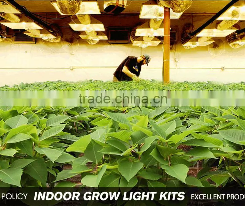 Super plant cultivation hydroponic led grow light