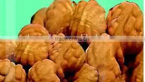 industrial walnut cake machine/puff cake machine/south korea walnut cake machine
