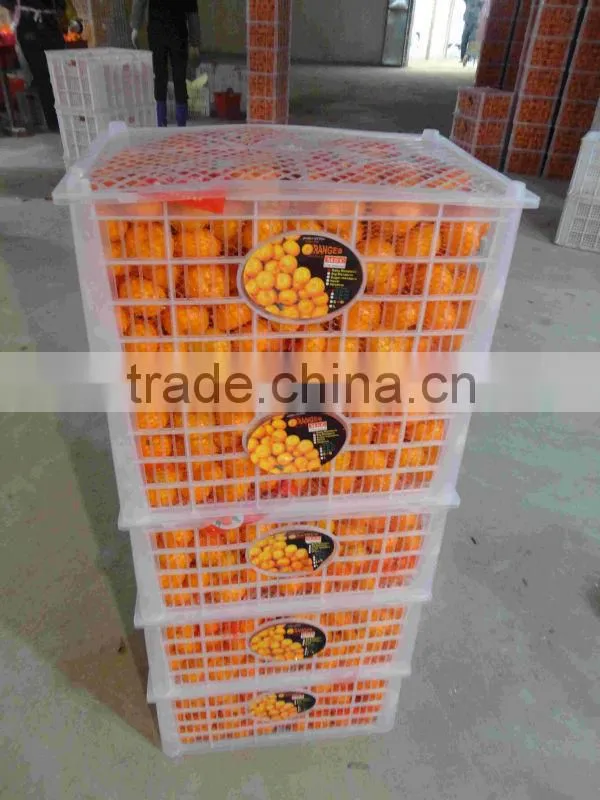 Baby Mandarin, Nanfeng baby Mandarin