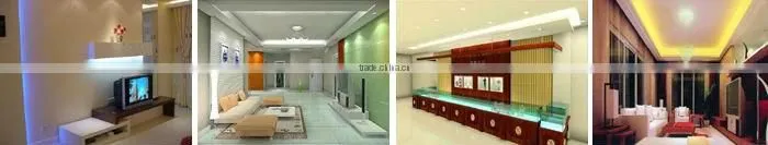 Dongguan Supplier for 5050 Flexible SMD Light LED Strip