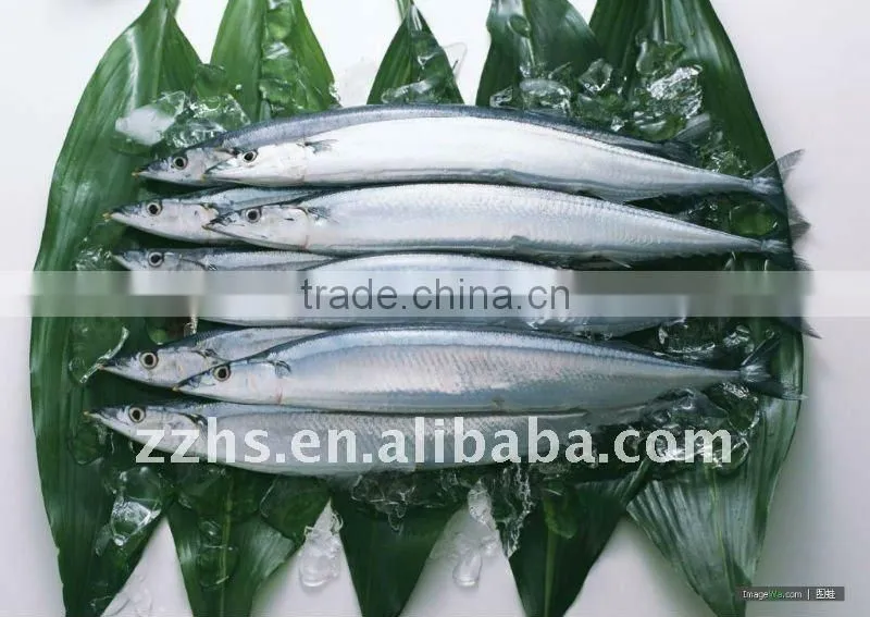 Canned Mackerel Fish in Tomato Sauce