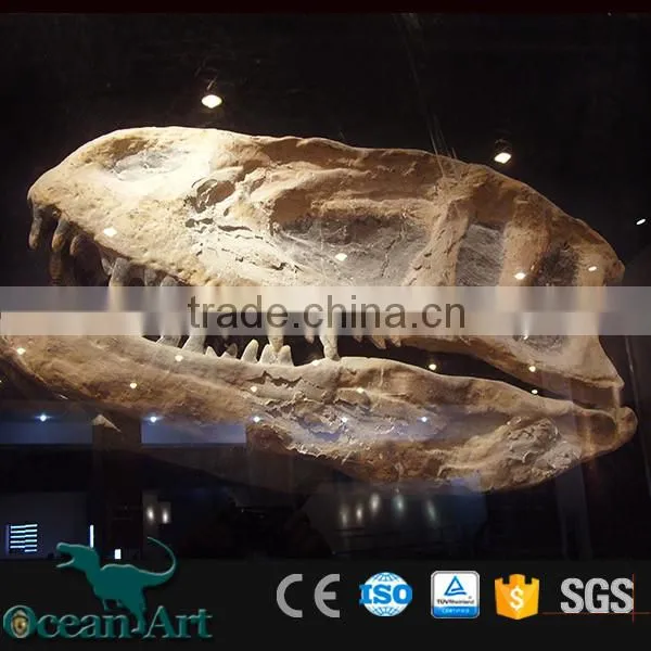 OAV3095 Life Size Dinosaur Fossil Head