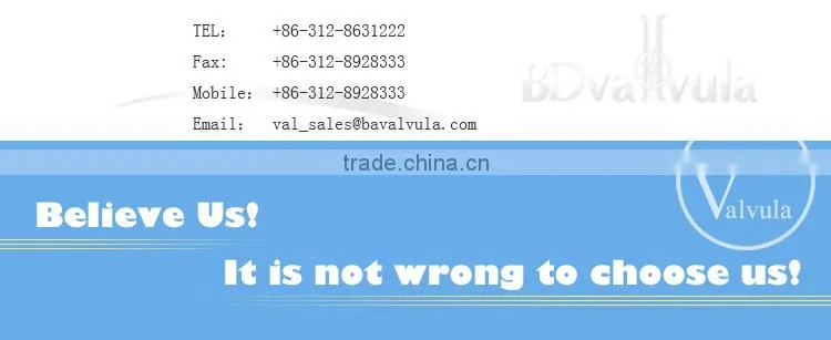 High Quality BS Standard PN25 Carbon Steel pipe fittings flange