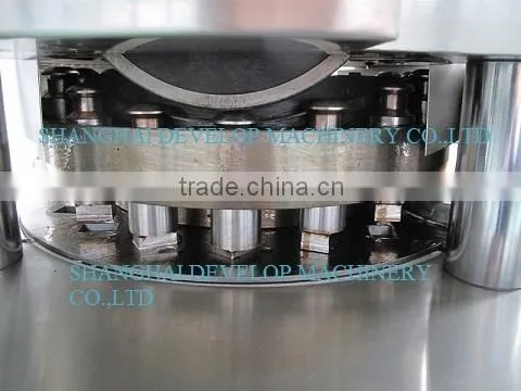 ZP19B Salt Rotary tablet press & pharmaceutical machinery