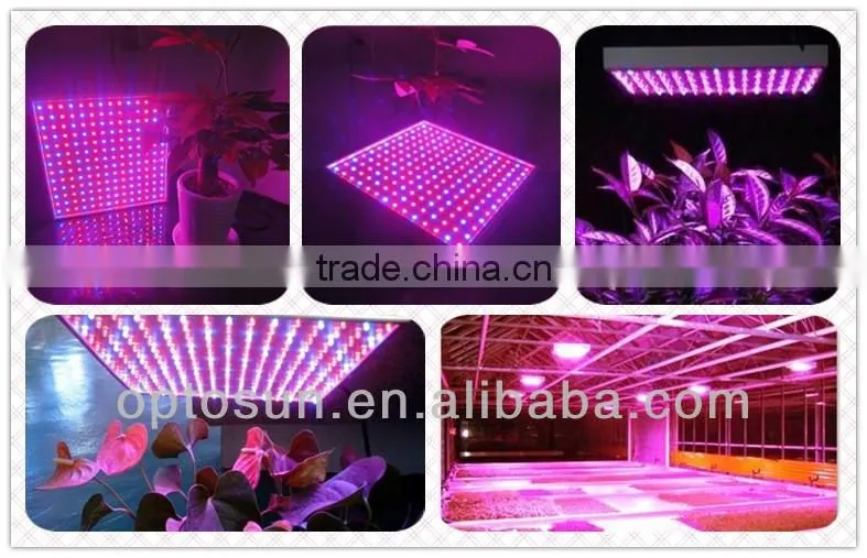 28w DIY Mini Led Grow Lighting