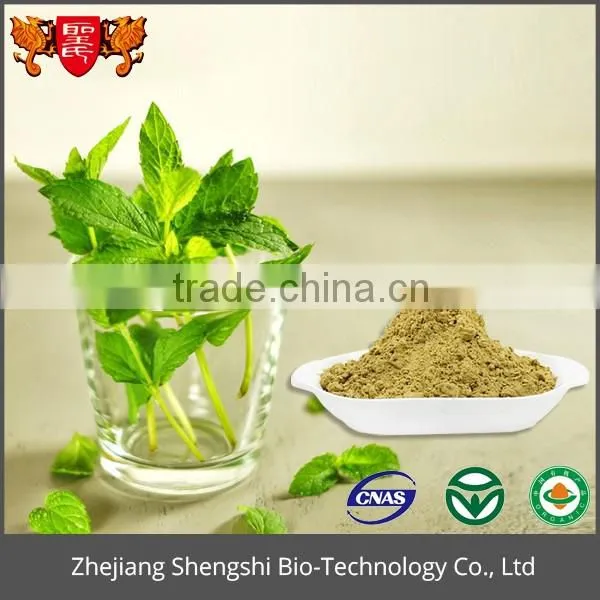 Best price optimal level 100% Natural Wild Mint Herb Extract