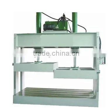 30 ton hydraulic press