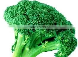 Broccoli extract 0.3% Sulforaphane