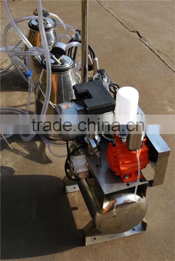 fixed pipeline milking machine group for two cows