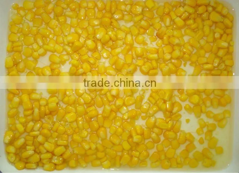 bulk fresh sweet corn tin