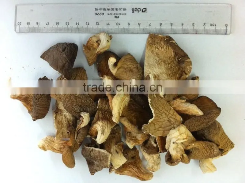 dried oyster mushroom for sale oyster mushrooms 1kg dry