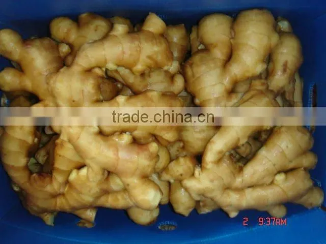 Fresh semi-air dried ginger