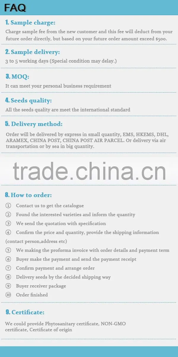 SQ03 Cuili excellent disease resistant f1 hybrid seeds of squash seeds