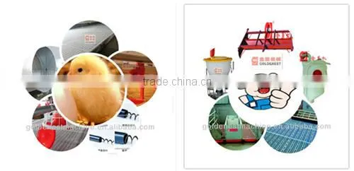 chicken house feeding auger filling equipment