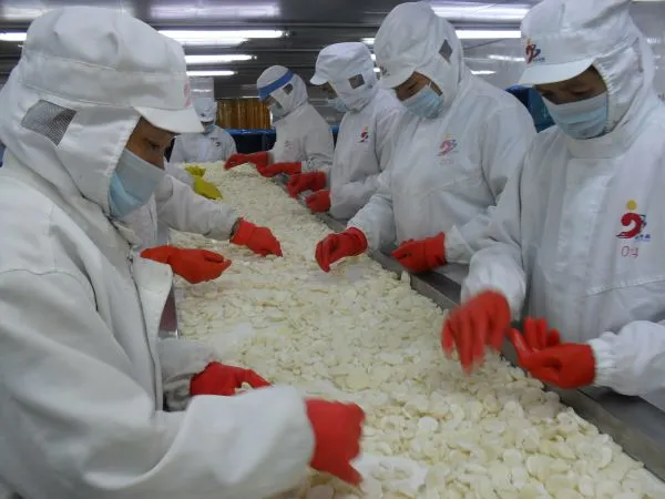 Guangxi Jiabao Foods Co.,Ltd company overview - view 1
