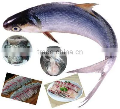 Half-dry and fresh fish slice, strips, block, cubes cutter/flaked fish cutting machine